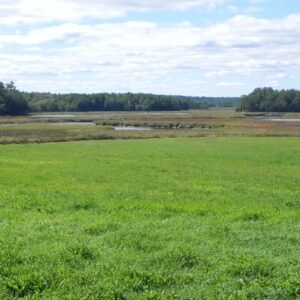 Views looking south across the fields and salt marsh of the Smelt Brook Preserve.