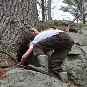 Boy exploring a tree on a rocky outcrop at Highland Farm Preserve.